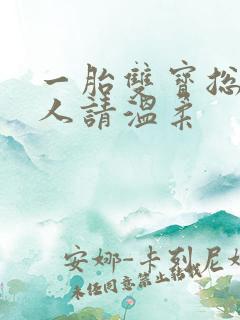 一胎双宝总裁大人请温柔