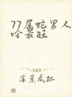 77属蛇男人戴啥最旺