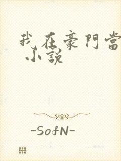 我在豪门当团宠 小说