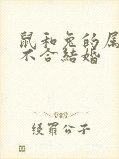 鼠和兔的属相合不合结婚