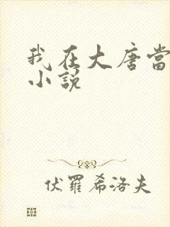 我在大唐当闲王小说