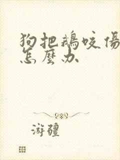 狗把鹅咬伤了该怎么办