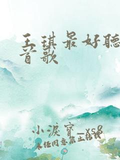 王琪最好听的十首歌