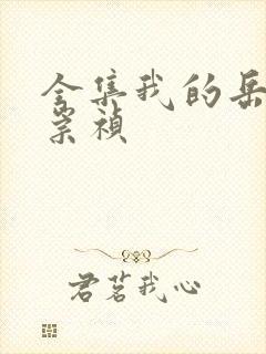 全集我的岳父是崇祯