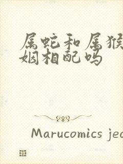 属蛇和属猴女婚姻相配吗