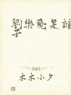 刘乐飞是谁的儿子