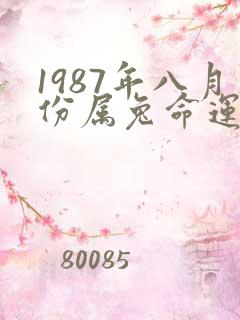 1987年八月份属兔命运