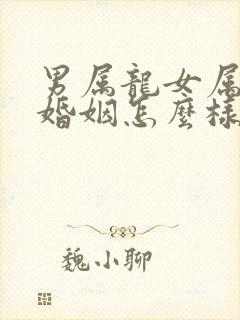 男属龙女属羊的婚姻怎么样