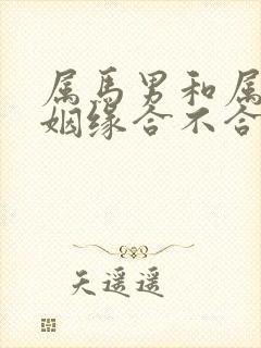 属马男和属马女姻缘合不合