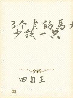 3个月的马犬多少钱一只