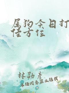 属狗今日打牌最佳方位