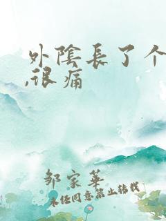 外阴长了个疙瘩,很痛