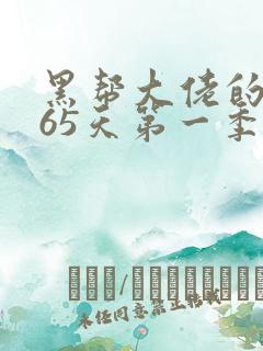 黑帮大佬的第365天第一季