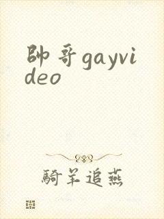 帅哥gayvideo