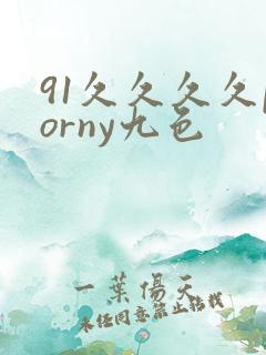 91久久久久porny九色