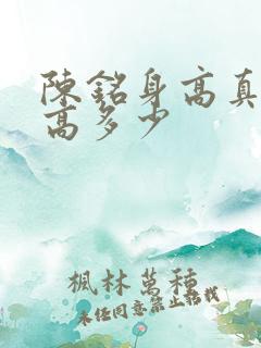 陈铭身高真实身高多少