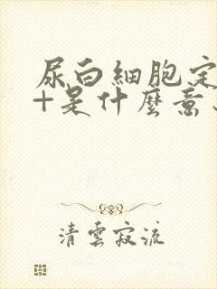 尿白细胞定性1+是什么意思