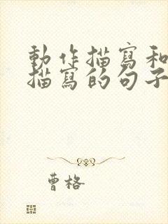 动作描写和神态描写的句子