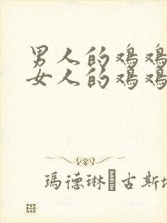 男人的鸡鸡捅进女人的鸡鸡里