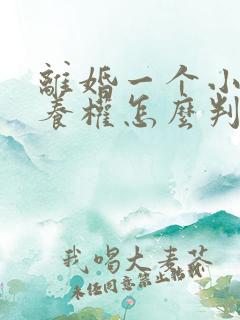 离婚一个小孩抚养权怎么判定