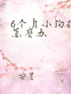 6个月小狗拉稀怎么办