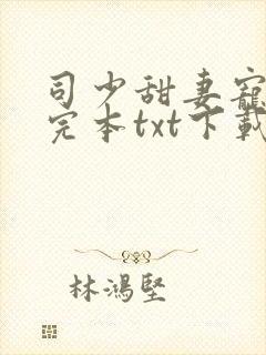 司少甜妻宠定了完本txt下载