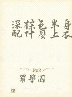 深棕色半身裙搭配什么上衣好看