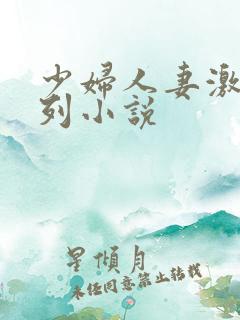 少妇人妻激情系列小说