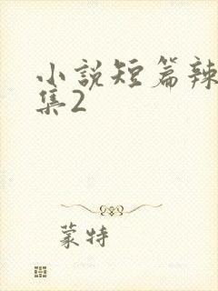 小说短篇辣文合集2