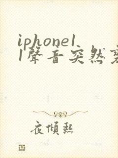 iphone11声音突然变小了