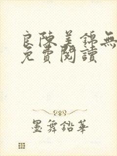 良陈美锦无弹窗免费阅读