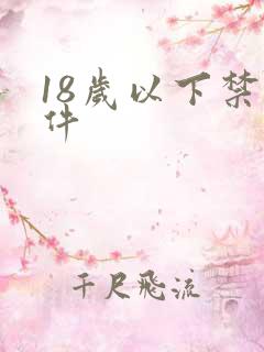 18岁以下禁软件