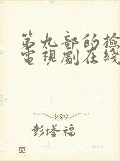 第九部的检察官电视剧在线观看免费