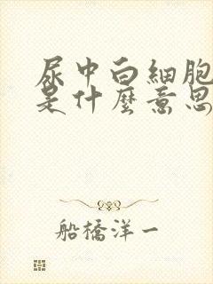 尿中白细胞偏高是什么意思