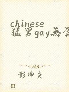 chinese猛男gay无套