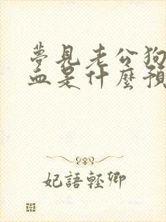 梦见老公狗咬出血是什么预兆