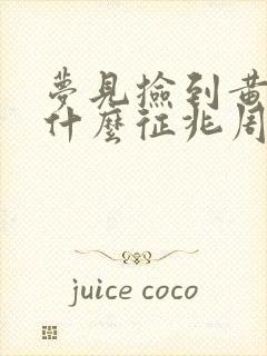 梦见捡到黄金是什么征兆周公解梦