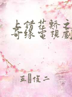 上错花轿之三嫁奇缘电视剧免费观看全集