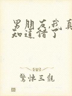 男朋友,我真的知道错了