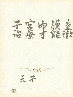 子宫内膜炎怎么治疗才能彻底治好