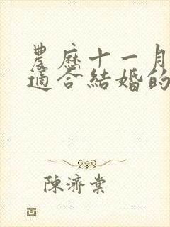 农历十一月哪天适合结婚的日子