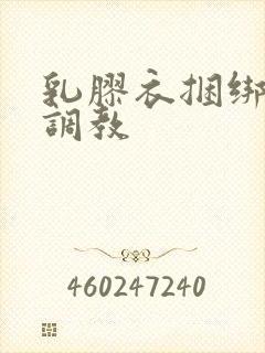 乳胶衣捆绑束缚调教