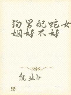 狗男配蛇女的婚姻好不好