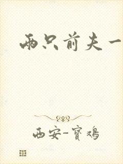 两只前夫一台戏