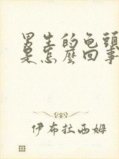 男生的龟头发痒是怎么回事