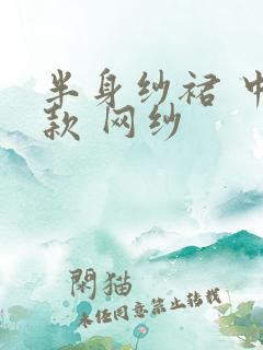 半身纱裙 中长款 网纱