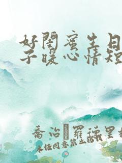 好闺蜜生日的句子暖心情短语