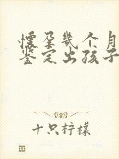 怀孕几个月可以鉴定出孩子的父亲