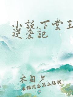 小说,下堂王妃逆袭记