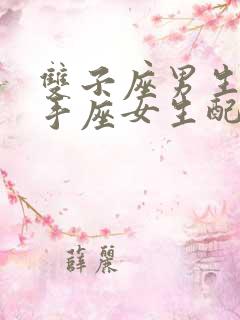 双子座男生和射手座女生配吗